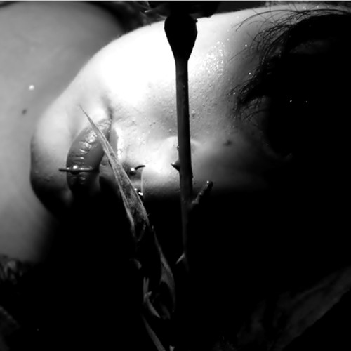 Errorchi7d Feat. K9-Bandit - She's An Errorchi7d