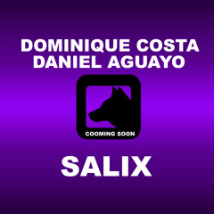 Dominique Costa & Daniel Aguayo - Salix