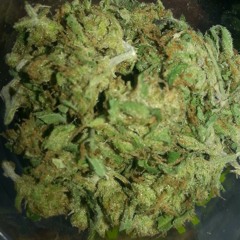 Roll Up Ft. King Rome