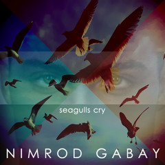 Nimrod Gabay - Seagulls Cry (original Mix)