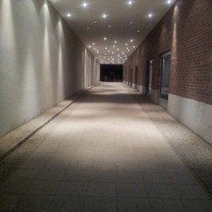 Diamond in the rough