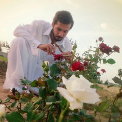 Phul mein ni troray
