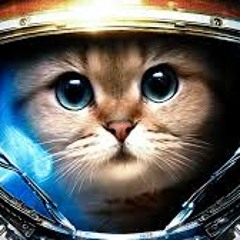 Space Walk
