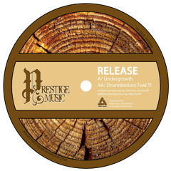 Drumbledore - PMD011B