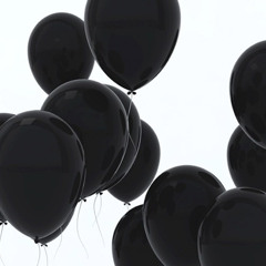 Born2Fly