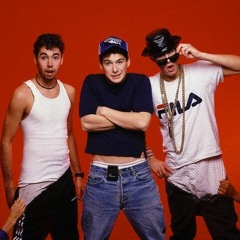 Beastie Boys - Alive/Shake your rump - Remix