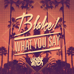 Blake! - What You Say (The Squatters Remix)