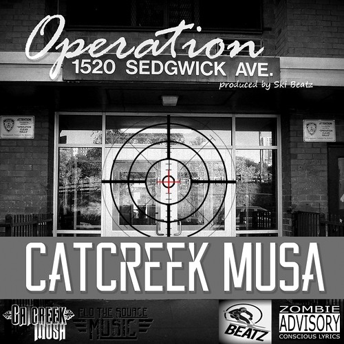 Operation Sedgwick By Catcreek Musa