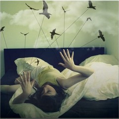 Il Sogno di volare (Evgeny Grinko - ноты)