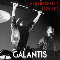 Seafoxchella 2014 - Live Set
