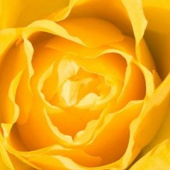 Finite To Infinite Music for Kundalini Meditation