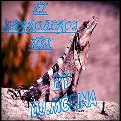 EL GARROBERO MIX 1