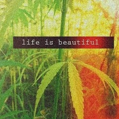 Life Is Beautiful -  Deep Set #1