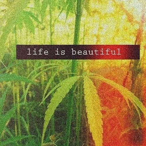 Life Is Beautiful -  Deep Set #1