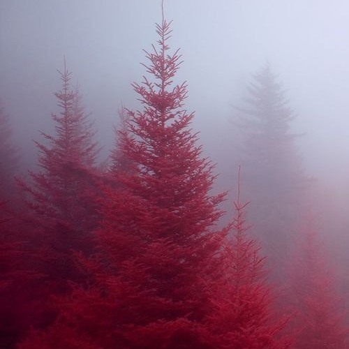 30 seconds to mars- Was it a dream
