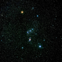 Back To Orion (FREE DL)