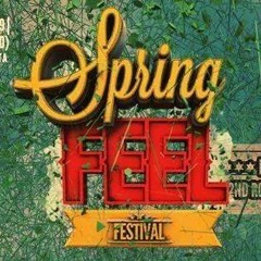 Fatty B & Faso (DCTRZ) • SPRING FEEL FESTIVAL MINIMIX 2014