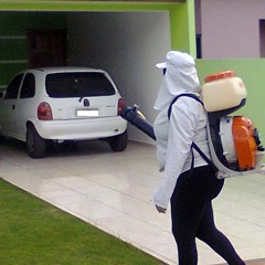 Secretaria de Saúde divulga mais três casos de dengue em Toledo