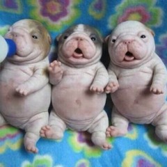 Here come the bOoM BAp (ruff draft)