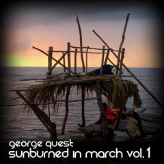 Sunburned In March Vol. 1 - Down by the Pool (2009)