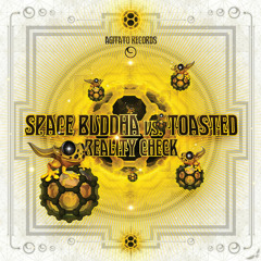 Space Buddha vs. Toasted - Reality Check (Preview) coming soon
