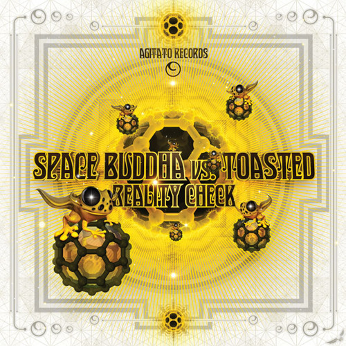 Space Buddha vs. Toasted - Reality Check (Preview) coming soon