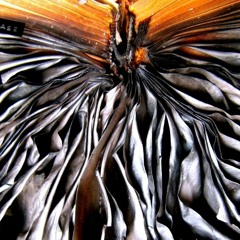 THE DIRTY LIES - Shallow Grave