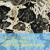 Artwork for TOB PODCAST 038: Roots of Moon Rock