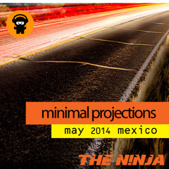 Minimal Projections May 2014 Mexico - The N!nja
