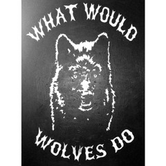 What Would Wolves Do? (Original Mix)