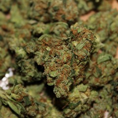 F5 x THEE BARKER x I KNOW {PROD BY MAJOR AFEKTZ}