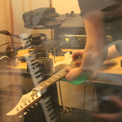 A Kestrel's Manoeuvres In The Park