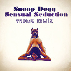 Sensual Seductions (VNDMG Remix)
