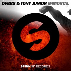 DVBBS & Tony Junior vs Nervo & R3hab - Immortal Revolution (Solla & Perru Edit)