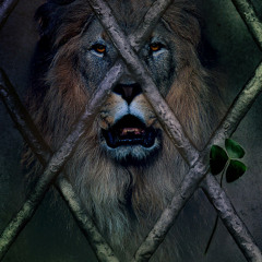 Set Me Free (Radio edit) [feat. Louis Gonzalez]