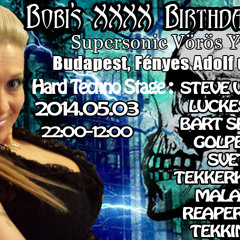 Steve Vortex @ Bobi's Birthday Bash Supersonic 03.05.2014