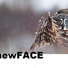 Newface