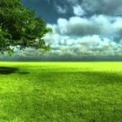سورة ق - بصوت يريح القلب