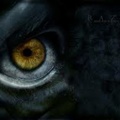 Flash In The Dark (Finish Version)(Unsigned)