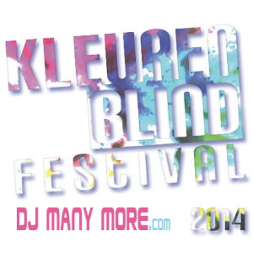 Kleurenblind Festival 2014 - DJ Many More