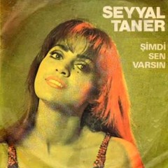 Seyyal Taner - Şimdi Sen Varsın (1974)