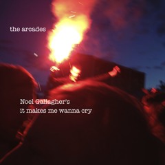 noel gallagher's "the dying of the light" cover