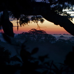 HORIZON - $30 Exclusive*