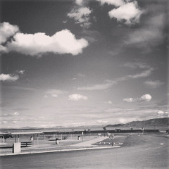 Bryce Lee - If You Insist