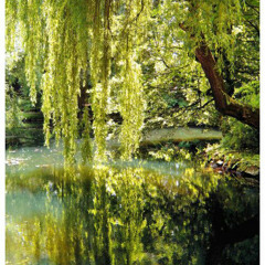 Third Suite from "The Willow Maiden"