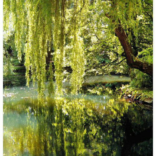 Third Suite from "The Willow Maiden"