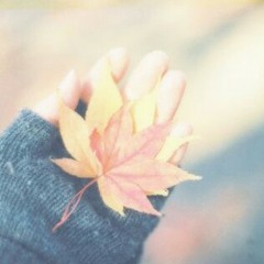 Hal-hal Menakjubkan Tentang Sahabat - Ita Roihanah