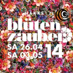 Andlee & Kollektiv KlangGut B2B at Bluetenzauber OpenAir 2014