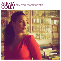 Beautiful Waste Of Time