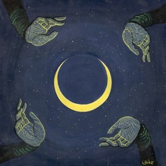 PLANUL - Full Liquid Moonshine